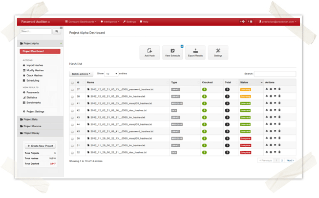 password auditor screen